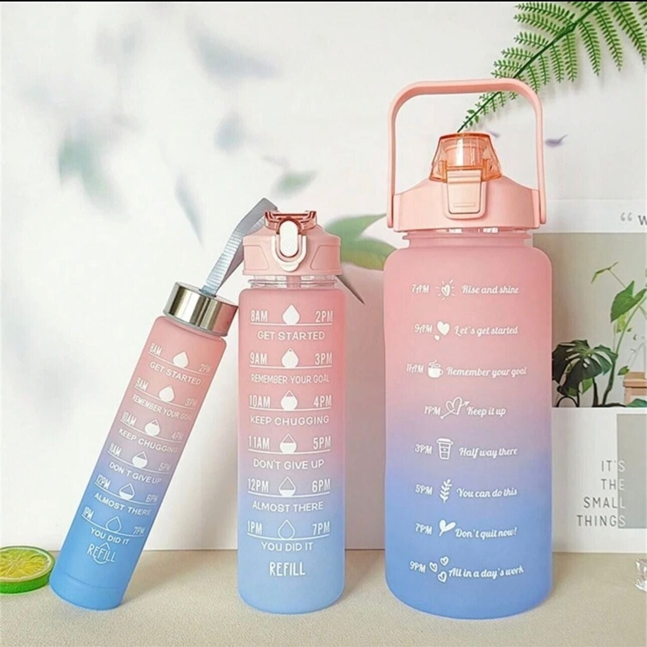 Apex Sports Water Bottles 3 Pcs Set